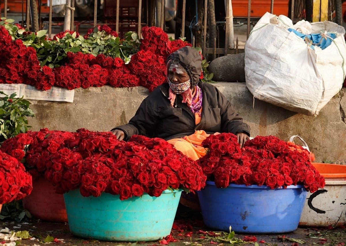 A flower vendor surrounded by buckets of red roses.